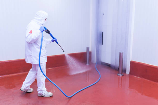 Best Sidewalk and Walkway Cleaning  in William Paterson University Of New Jersey, NJ